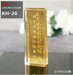 ydlzʔv NX^ yꖳz KH-26ijyz _ʔv  [U[ KX F I[_[Ch    p[c ~j TCY vw A 49 @