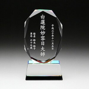 ʔv NX^ yꖳz KH-11ijyz _ ʔv [U[ KX zO F I[_[Ch    p[c ~j TCY vw A 49 @v 