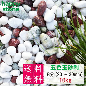  ܐF ʍ ۂݔQ 3 5 8 10Kg yz K[fjO DIY  h h W rIg[v ANAE VR  O\ ԏ Jt  a m a m 뉀  ~b