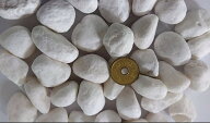 【アウトレット　在庫品限り！！】砂利 白 白玉砂利 玉砂利 5分 約12~25mm 650g 【送料無料】 ガーデニン…