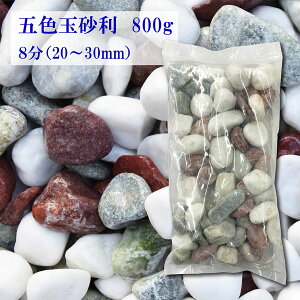  ܐF ʍ 8 20-30mm 800g yEʓrz K[fjO DIY  h h W rIg[v ANAE VR  O\ ԏ Jt  a m a m 뉀  ~b