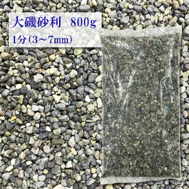 【アウトレット　在庫品限り！！】砂利　大磯砂　大磯砂利　玉砂利　1分 (3-7mm) 800g〔全国送料無料〕じゃり　金魚鉢　メダカ　水槽　ビオトープ　金魚