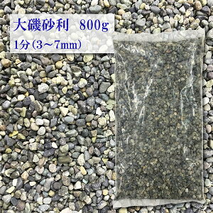y݌ɕiIIz@鍻@鍻@ʍ@1 (3-7mm) 800gkSl@