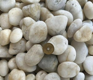 yAEgbg@݌ɏ@ c͂Iz@@ʍ@P@ۉ啗@VRʍ@ @20kg@8i20`30mmj@yz s@@W