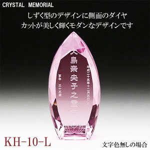 ʔv NX^ sNyꖳz KH-10(L)yz _ʔv [U[ KX zO F I[_[Ch    p[c ~j TCY vw A 49 @v 