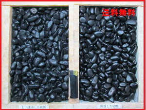  ʍ ʌ 3 10-20mm 650g yEʓrz ō  K[fjO DIY  h h W sJsJ  VR ϐ   ʍ  ~ ې ʐ  _ 