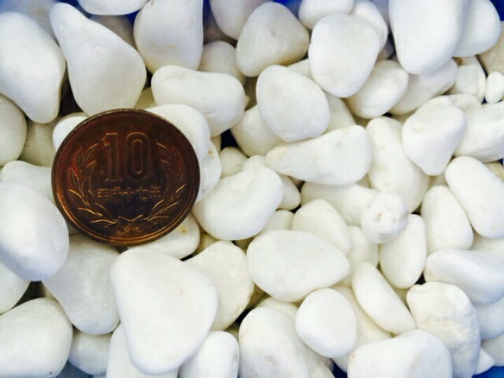 楽天市場】砂利 白 白玉砂利 白仙 最高級 3分 10-20mm 650g【送料無料 