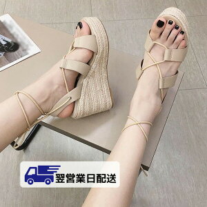 ycƓz23.5cm T_ fB[X  EFbW\[ q[10cm C AEgbg T_  r  l Vv x[W di100t2c6kc