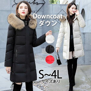 _ER[g fB[X ꂢ ~ _EWPbg AC t[ht  t@[t  y 傫TCY  ubN bh n x[W  AE^[ ~ h 