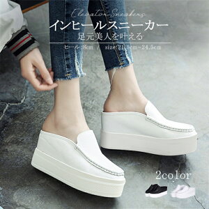 10OFFN[| Xb|  Xj[J[ fB[X Cq[ Ƃ ƂȂ 2way r C RȂ   y ɂ ₷ TCY 8cm 10cm q[Abv ʋ