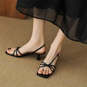 XgbvT_ g  ؚT_ fB[X ׃Xgbv ɂȂ ₷ EhgD i ꂢ  ZNV[ ʋ ItBX o f[g n5001c6c6m3