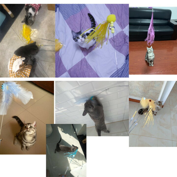 楽天市場】3点セット 猫じゃらし 猫 猫用おもちゃ おもちゃ 猫用品 