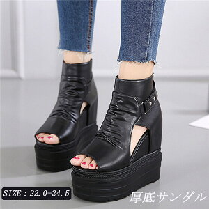 T_ Ƃ u[cT_ T}[u[c fB[X T}[u[c  Xj[J[ 12cmq[ Cq[ r V[Y obNWbp[ EGbW\[ T_ ₷ 