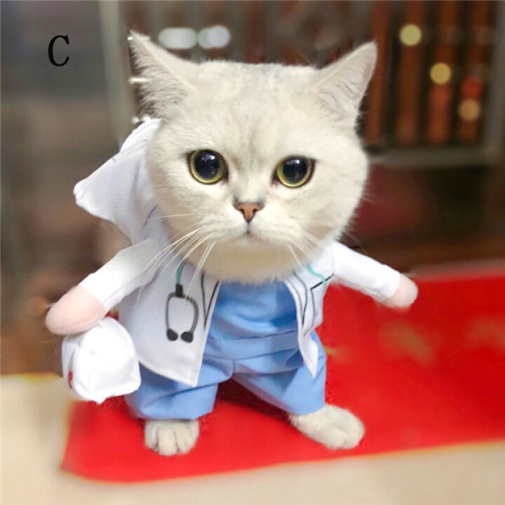楽天市場 ペット コスチューム 猫 犬 ハロウィン コスプレ ドッグウェア 仮装 ポリスマン 警察官 ウェア 変身 愛犬 プレゼント ギフト 誕生日 写真撮影 可愛い おもしろ S M L Ed011d4d4f4 発表会ドレス Happysunny