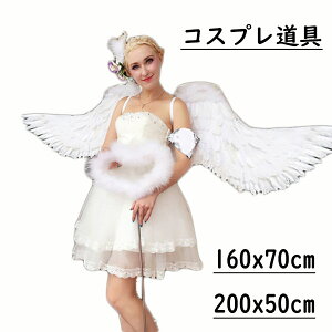 Vg̉H RXv H  wing ECO zCg ubN d  o Xe[W Cxg  t@bVV[ p[eB[ObY Be cosplayp RXv COSPLAY RX`[