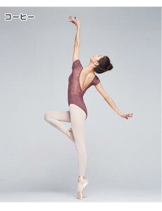 oG I^[h l fB[X WjA  [X K pbht Vv  킢  Lk Xgb` ʋC pbht oGpi bX oGpi 