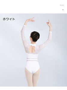 oG I^[h l fB[X WjA  nClbN K   pbht Vv  킢  Lk Xgb` ʋC oGpi bX oGpi \