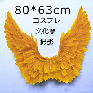 Vg̉H RXv H  傫 80×63cm CG[ tFU[  ECO   Bep  nEB NX}X p[eB[ObY Xe[Wߑ Vg  d GWF RX