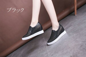 Xj[J[ Cq[ LL Xb| S\[ PU  TCY 傫TCY [Jbg [t@[ fB[X ubN zCg di002g6g6m3