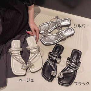 T_ fB[X  gO gOT_ LL T_  TCY 22.5 23.0 23.5 24.0 24.5 25.0 q[3cm XNGAgD Vv 킢 x[W ubN Vo[ ei063j