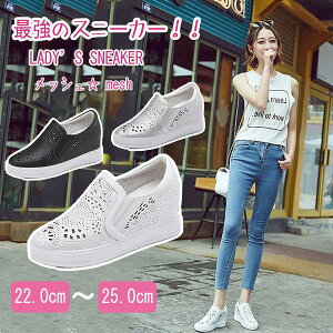 Xb| fB[X Cq[  q[ 7Z` ʋC  Ƃ bV RȂ Xj[J[ TCY 傫TCY PU [Jbg [t@[  Vo[ 