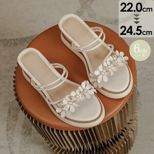 T_ EFbW\[ T_ ԃ`[tt 2way ~[ fB[X EFbW \[ q[6 EFbW\[T_ I[vgD l t TCY C b L