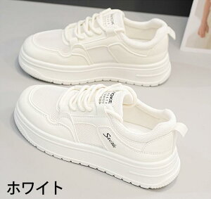 Xj[J[ fB[X V[Y r ₷ zCg x[W JWA  킢 RtH[g   bVV[Y ei019lclcx1