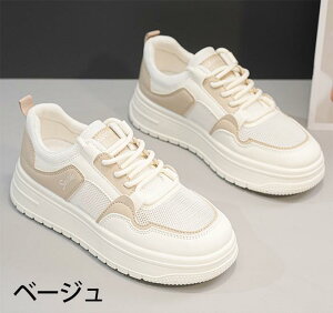 Xj[J[ fB[X V[Y r ₷ zCg x[W JWA  킢 RtH[g   bVV[Y ei019lclcx1