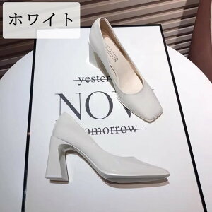 pvX fB[X q[ XNGAgD Gi 22.5`24.5cm ₷ ɂȂ  zCg ubN u[  r ʋ ʊw d tH[}  񎟉 n1006ldldm3