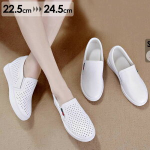 zCgXj[J[ fB[X ʋC  Cq[ EFbW\[ q[6cm Ƃ zCg i Xb| Xj[J[  H t ₷ E₷ V[Y JW