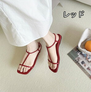 ؚT_ Xgbv tbgT_ fB[X ANXgbv ߉\  l r t  xg C i V[Y 22.5 23.0 23.5 24.0 24.5      mh004m5m5m3