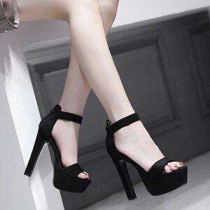 T_ fB[X q[ T_ nCq[ sq[  q[13.5cm r AN Xgbv TCY 傫TCY ubN x[W ei006m6m6m3