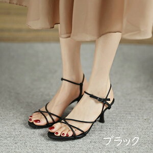 ؚT_ Xgbv q[ fB[X ANXgbv q[T_ sq[ t  xg C  l r   i V[Y ItzCg ubN n5009m6m6m3