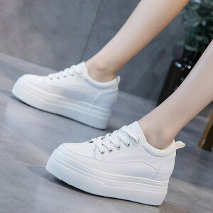 Xj[J[  Cq[ EFbWq[ C\[ X|[eB TCY V[Y fB[X C r  Xj[J[ 킢   JWA ₷ 