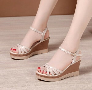 EFbW\[ T_  EGbW\[ T_ fB[X Ƃ q[T_ ANXgbv XgCvT_ 傫TCY TCY Sn悢 