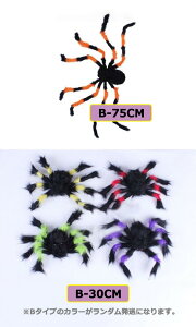 nEB  ^  N w ю ʂ A ~ w p[eB[  30cm 75cm Iׂ J[ tFCNXpC_[ mj006n1n1m3