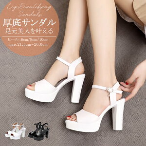 T_  `L[q[ ~[ T_  q[  nCq[ xg I[vgD ubN zCg  q[ 6cm 8cm 10cm ɂ JWA RtH[g