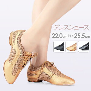 _XV[Y fB[X Ќ_X V[Y pvX _Xq[ Xgbv fB[XC Kp o \ Cxg _AepЌ_XV[Y 傫TCY y