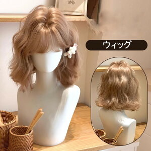 �t���E�B�b�O �V���[�g ���f�B�[�X �n���E�B�� �ӂ���O�� �O������ ���h�� ���� ������ ���� �R�X�`���[�� �R�X�v�� ���� ��l �����[�^ �����B�^ �Ã��� dp035sasam3