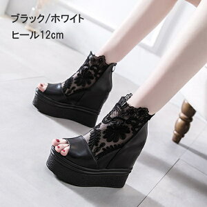 bV  T_ Ƃ fB[X EFbW\[ [X TCY C T_  r  l Vv ubN zCg 21.5/22.0/22.5/23.0/23.5/24.0/24.5 di101t2t2x1