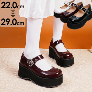  pvX fB[X [^ łC 7cmq[ Xgbvt ChC w ʊw C  Pn V[Y 傫TCY y 22.0`29.0cm zCg ubN Cbh ei116t2t2x1