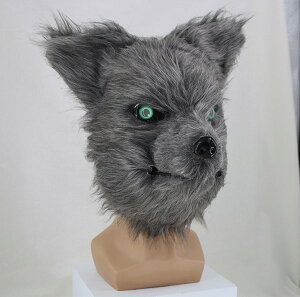 J邱Ƃł p[eB[ObY }XN RXv  T C^`  ӂӂ A ʔObY o[}XN t}XN  ] nEB Ȃ肫 ʔ 蕨 Q[