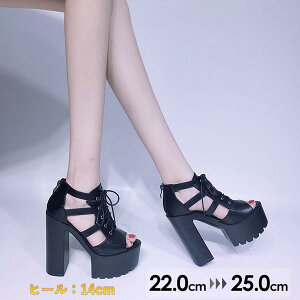 T_ fB[X `L[q[ q[ 14Z`q[ XAbv xg tā@傫TCY TCY r nCq[ gAbv r  킢 GKgdi