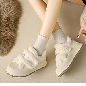 {AV[Y V[gu[c fB[X  {A Xj[J[ h 22.5cm`25.0cm   uE H~ g 킢 ؍ JWA ʊw ʋ f[g o ₷ 