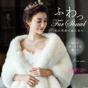 tFCNt@[ V[ { |` fB[X  uC_ ԉ ~ HD V[g Xg[ P[v tH[} I 񎟉 l EFfBO p[eB[ hXp A