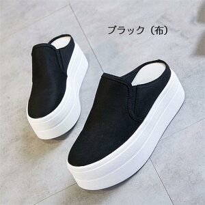  Xj[J[ Xb| fB[X q[5Z` ubN  zCg  [Jbg  ƃt[ Cq[ 傫TCY ₷ C JWA RtH[g dy0