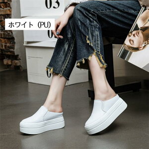  Xj[J[ Xb| fB[X q[5Z` ubN  zCg  [Jbg  ƃt[ Cq[ 傫TCY ₷ C JWA RtH[g dy0