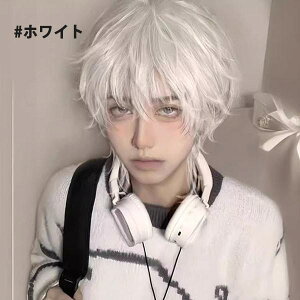 ウィッグ メンズ 男装 短髪 かつら フルウィッグ ショートウィッグ 巻き髪 コスプレウィッグ ショート ショートヘア 演劇 自然 前髪あり コスプレ おしゃれ かっこいい 可愛い 耐熱ウィッグ