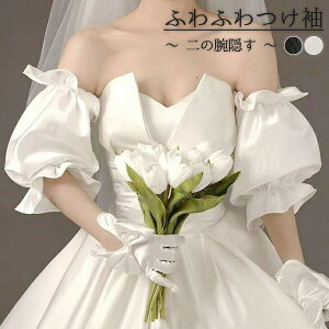 t ̘r A[Jo[ ӂӂ S Te  c { ̘r B [fBX o[ p[eB[hXp EFfBOhXp s[Xp ubN