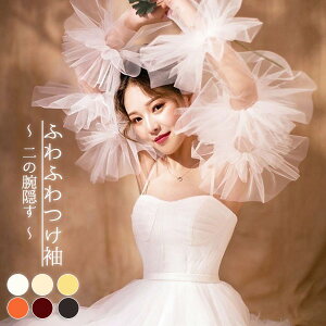 t ̘r A[Jo[ ӂӂ S \tg`[ { ̘r B [fBX p[eB[hXp EFfBOhXp s[Xp ubN zCg I 